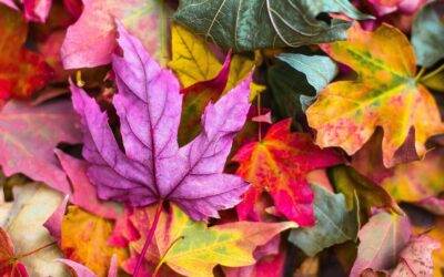 9 Skincare Tips For Healthy Fall Skin
